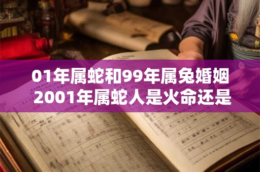 01年属蛇和99年属兔婚姻 2001年属蛇人是火命还是木命