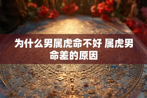 为什么男属虎命不好 属虎男命差的原因