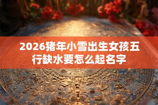 2026猪年小雪出生女孩五行缺水要怎么起名字