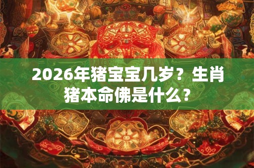 2026年猪宝宝几岁？生肖猪本命佛是什么？