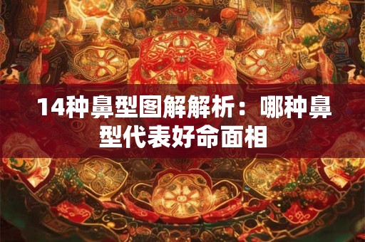 14种鼻型图解解析：哪种鼻型代表好命面相
