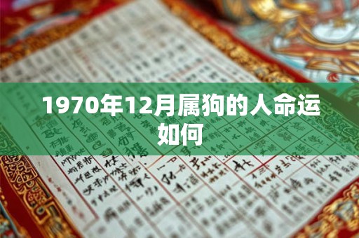 1970年12月属狗的人命运如何