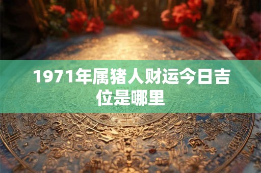 1971年属猪人财运今日吉位是哪里