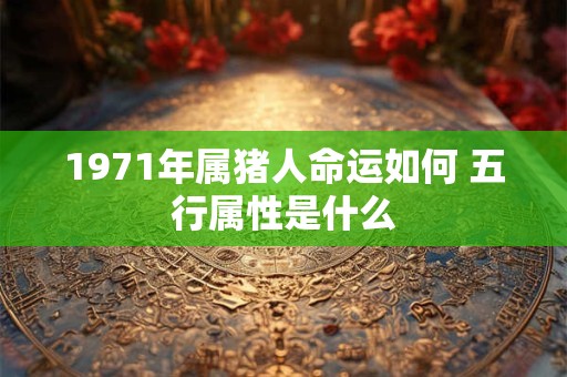 1971年属猪人命运如何 五行属性是什么