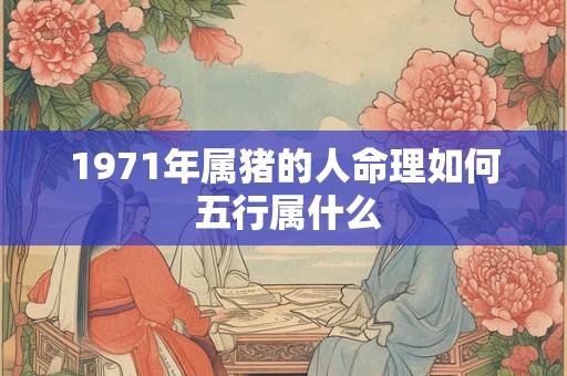 1971年属猪的人命理如何 五行属什么