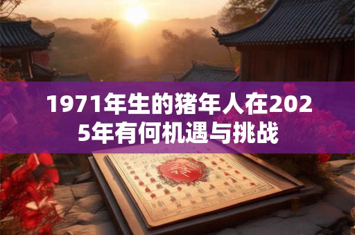 1971年生的猪年人在2025年有何机遇与挑战