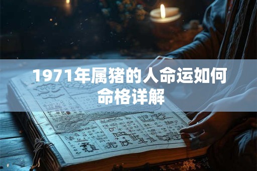 1971年属猪的人命运如何 命格详解