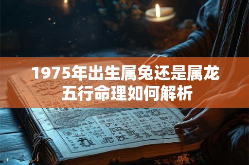 1975年出生属兔还是属龙 五行命理如何解析