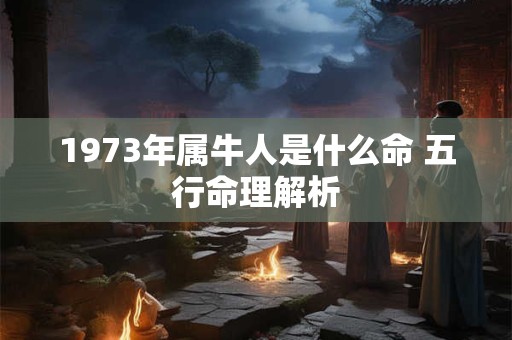 1973年属牛人是什么命 五行命理解析