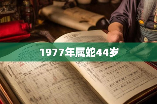1977年属蛇44岁