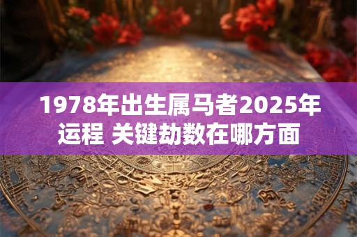 1978年出生属马者2025年运程 关键劫数在哪方面