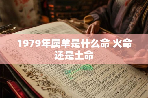 1979年属羊是什么命 火命还是土命