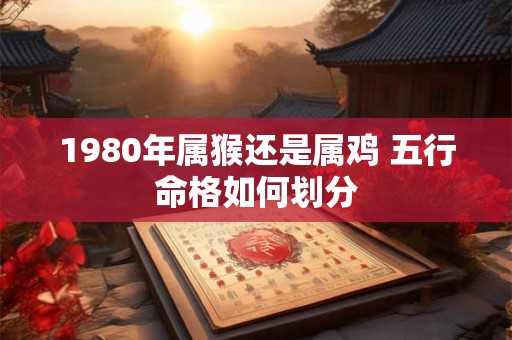 1980年属猴还是属鸡 五行命格如何划分