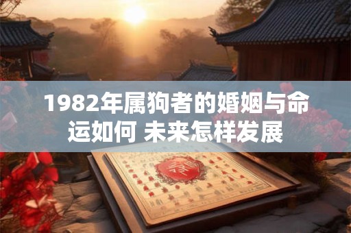 1982年属狗者的婚姻与命运如何 未来怎样发展