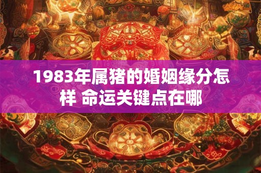 1983年属猪的婚姻缘分怎样 命运关键点在哪