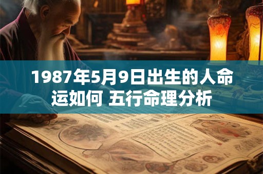 1987年5月9日出生的人命运如何 五行命理分析