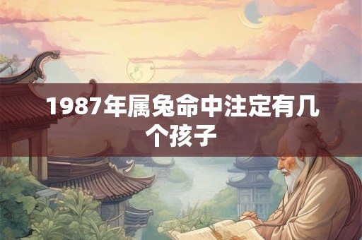 1987年属兔命中注定有几个孩子