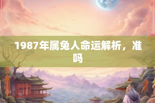 1987年属兔人命运解析，准吗