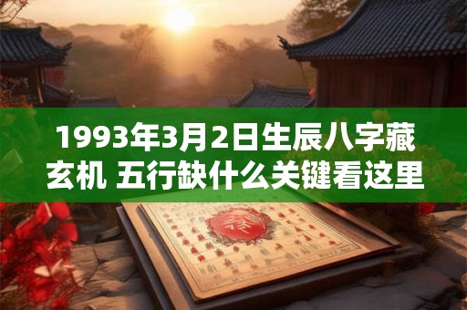 1993年3月2日生辰八字藏玄机 五行缺什么关键看这里