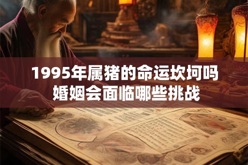 1995年属猪的命运坎坷吗 婚姻会面临哪些挑战