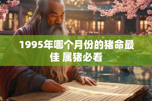 1995年哪个月份的猪命最佳 属猪必看