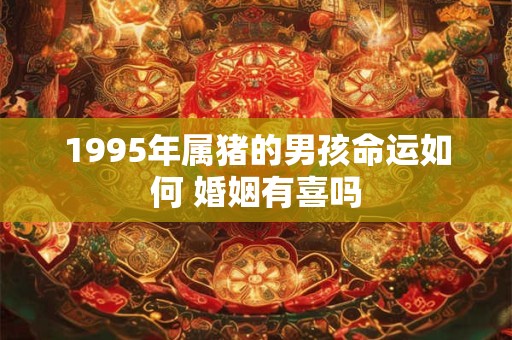 1995年属猪的男孩命运如何 婚姻有喜吗