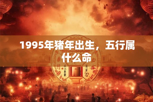 1995年猪年出生，五行属什么命