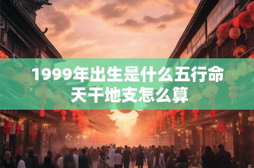 1999年出生是什么五行命 天干地支怎么算