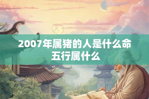 2007年属猪的人是什么命 五行属什么