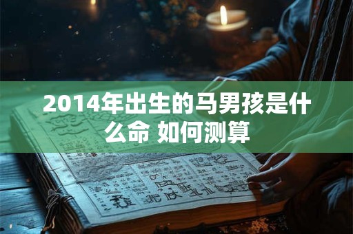 2014年出生的马男孩是什么命 如何测算