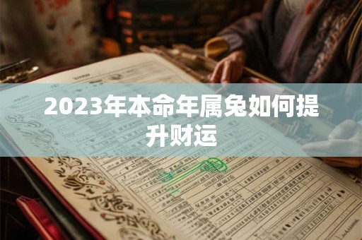 2023年本命年属兔如何提升财运