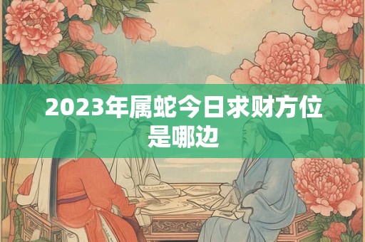 2023年属蛇今日求财方位是哪边