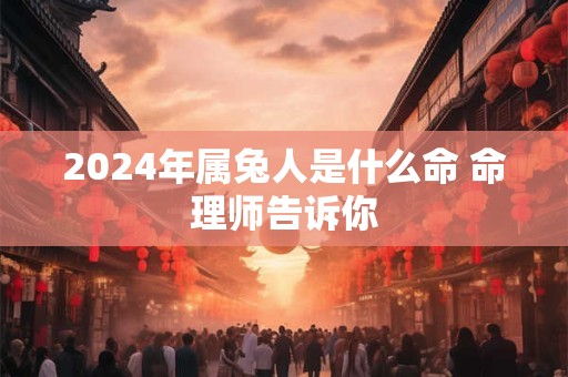 2024年属兔人是什么命 命理师告诉你