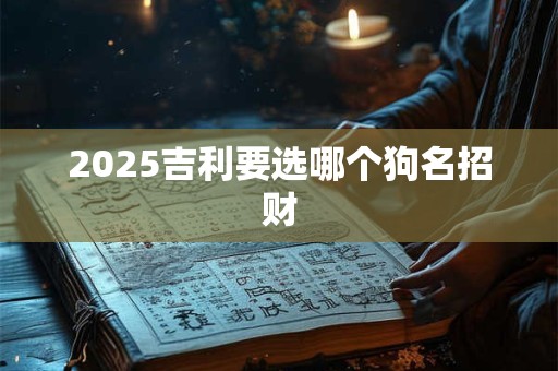 2025吉利要选哪个狗名招财
