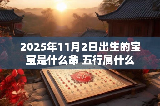 2025年11月2日出生的宝宝是什么命 五行属什么