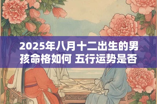 2025年八月十二出生的男孩命格如何 五行运势是否吉利