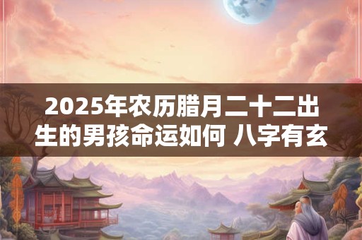 2025年农历腊月二十二出生的男孩命运如何 八字有玄机吗