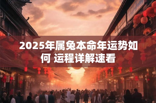 2025年属兔本命年运势如何 运程详解速看