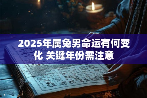 2025年属兔男命运有何变化 关键年份需注意