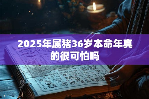 2026年属猪36岁本命年真的很可怕吗