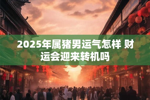 2025年属猪男运气怎样 财运会迎来转机吗
