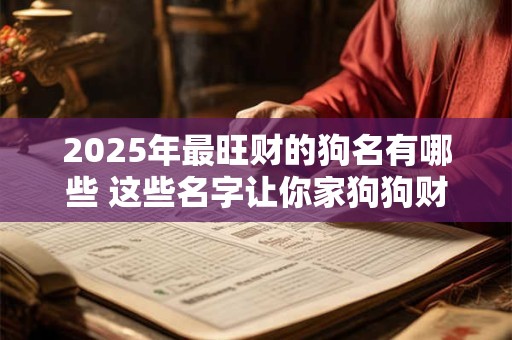2025年最旺财的狗名有哪些 这些名字让你家狗狗财运旺旺