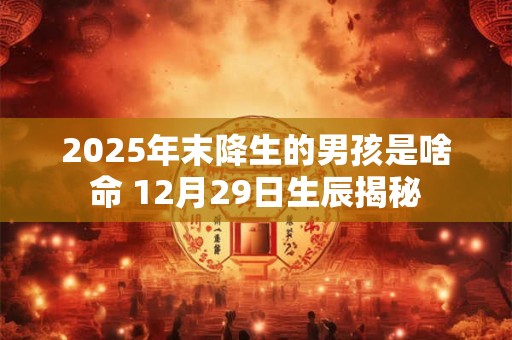 2025年末降生的男孩是啥命 12月29日生辰揭秘