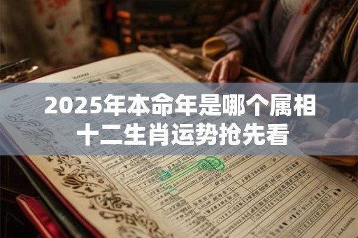 2025年本命年是哪个属相 十二生肖运势抢先看