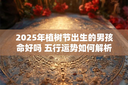 2025年植树节出生的男孩命好吗 五行运势如何解析