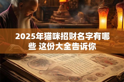 2025年猫咪招财名字有哪些 这份大全告诉你
