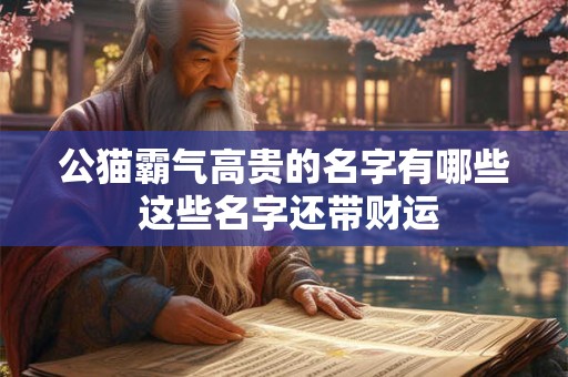 公猫霸气高贵的名字有哪些 这些名字还带财运