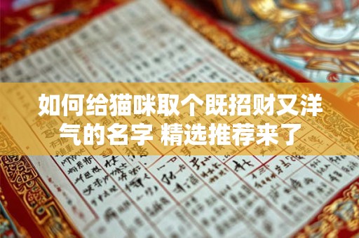 如何给猫咪取个既招财又洋气的名字 精选推荐来了
