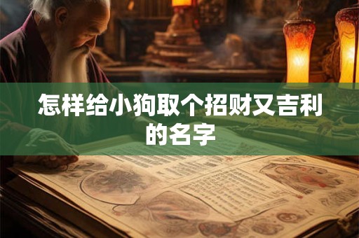 怎样给小狗取个招财又吉利的名字