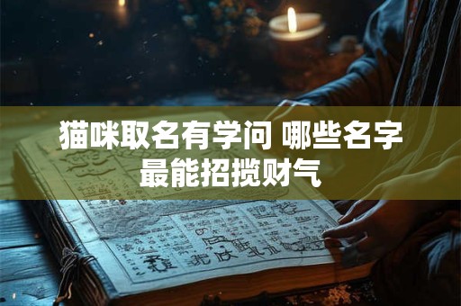 猫咪取名有学问 哪些名字最能招揽财气